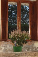 /album/photogallery/larte-della-natura-jpg/